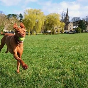 Meet your Posher, Aden